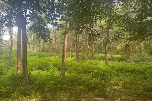 25146 Sanes Creek Rd, Laurel, IN 47024 - Photo 36