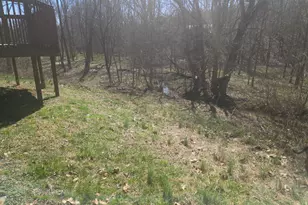 14156 Jim Run Rd, Laurel, IN 47024 - Photo 56