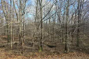 3027 S Co Rd 350 E, Dillsboro, IN 47018 - Photo 24