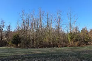 0 Scotts Ridge Rd, Rising Sun, IN 47040 - Photo 1