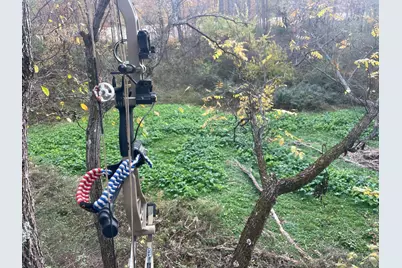 25146 Sanes Creek Road, Laurel, IN 47024 - Photo 26