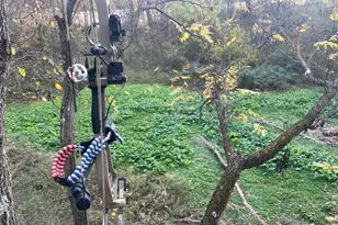 25146 Sanes Creek Rd, Laurel, IN 47024 - Photo 26