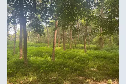 25146 Sanes Creek Road, Laurel, IN 47024 - Photo 36