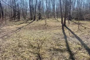 25146 Sanes Creek Rd, Laurel, IN 47024 - Photo 34