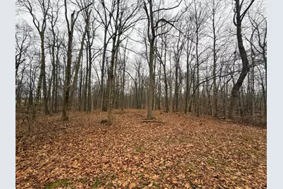 0 Roberts Road, Brookville, IN 47012 - Photo 6