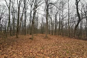 0 Roberts Rd, Brookville, IN 47012 - Photo 6