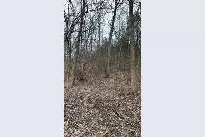 0 Sr 46, West Harrison, IN 47060 - Photo 2