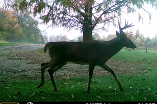 5032 Nell Lee Rd, Bennington, IN 47011 - Photo 34