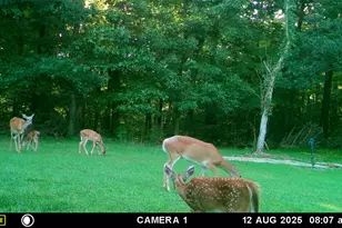 5032 Nell Lee Rd, Bennington, IN 47011 - Photo 30