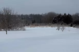 13349 W Levell Rd, Bennington, IN 47011 - Photo 56