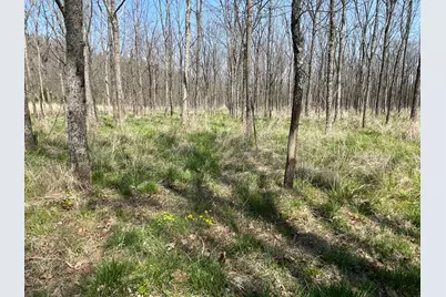 0 Sr 262, Dillsboro, IN 47018 - Photo 4