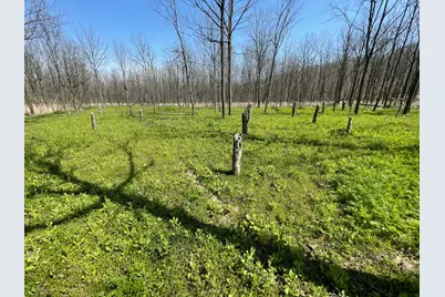 0 Sr 262, Dillsboro, IN 47018 - Photo 8