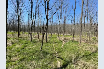 0 Sr 262, Dillsboro, IN 47018 - Photo 10