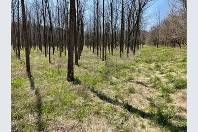 0 Sr 262, Dillsboro, IN 47018 - Photo 22