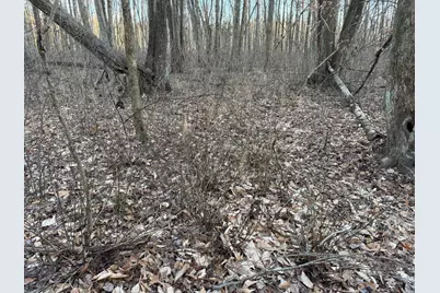 0 US Hwy 421, Versailles, IN 47042 - Photo 16