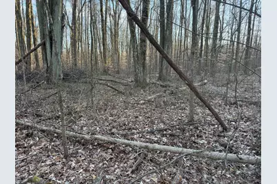 0 US Hwy 421, Versailles, IN 47042 - Photo 12