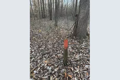 0 US Hwy 421, Versailles, IN 47042 - Photo 14