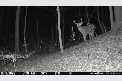 6274 Sr 129, Vevay, IN 47043 - Photo 56