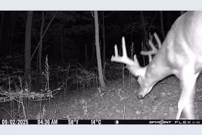 6274 Sr 129, Vevay, IN 47043 - Photo 58