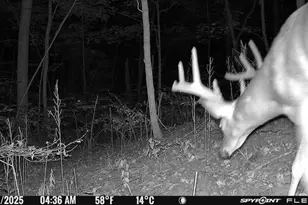 6274 Sr 129, Vevay, IN 47043 - Photo 58