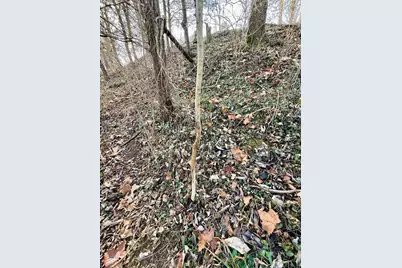 0 E County Road 900 S, Cross Plains, IN 47017 - Photo 8