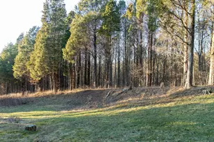 6113 Tapps Ridge Rd, Vevay, IN 47043 - Photo 54