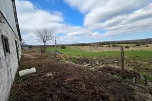 9996 Bennington Pike, Vevay, IN 47043 - Photo 48