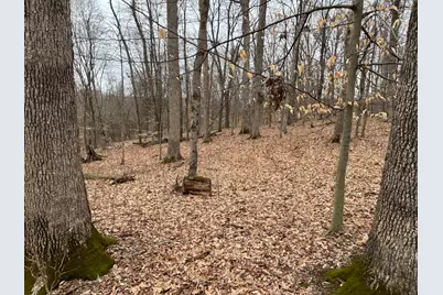 0 Wolf Creek, Brookville, IN 47012 - Photo 4