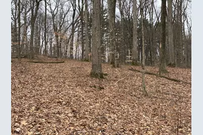 0 Wolf Creek, Brookville, IN 47012 - Photo 12