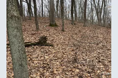 0 Wolf Creek, Brookville, IN 47012 - Photo 8