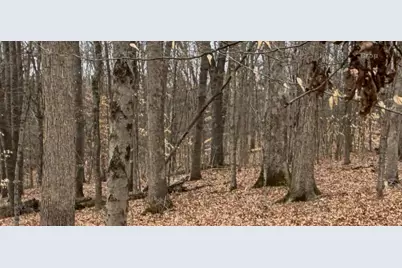 0 Wolf Creek, Brookville, IN 47012 - Photo 24