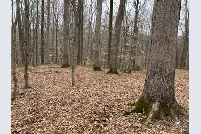 0 Wolf Creek, Brookville, IN 47012 - Photo 6