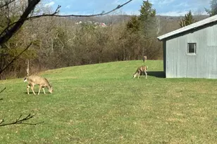 19685 Collier Ridge Rd, Guilford, IN 47022 - Photo 76