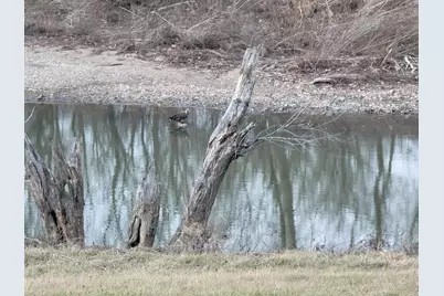 7690 Hartford Pike, Aurora, IN 47001 - Photo 8