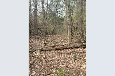 4035 Calihan Road, West Harrison, IN 47060 - Photo 26