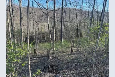 0 0 Henschen Road, Aurora, IN 47001 - Photo 16