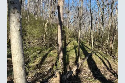 0 0 Henschen Road, Aurora, IN 47001 - Photo 6