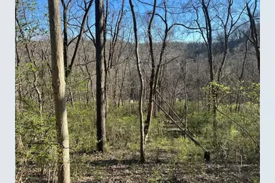 0 0 Henschen Road, Aurora, IN 47001 - Photo 8