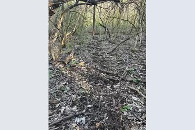 0 0 Henschen Road, Aurora, IN 47001 - Photo 12