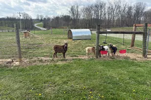 5347 Cass-Union Rd, Rising Sun, IN 47040 - Photo 32