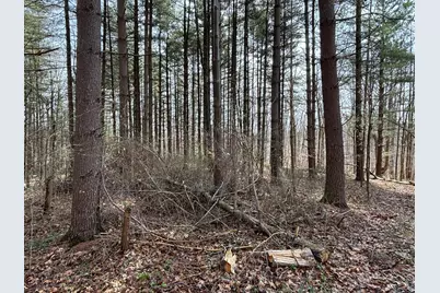 24115 Sanes Crk., Laurel, IN 47024 - Photo 30