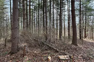 24115 Sanes Creek, Laurel, IN 47024 - Photo 30