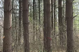 24115 Sanes Creek, Laurel, IN 47024 - Photo 34