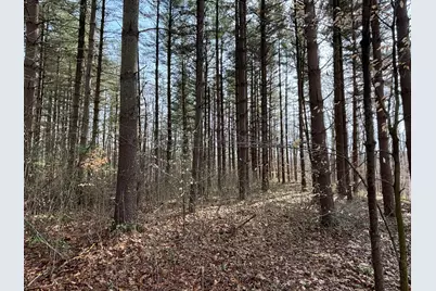 24115 Sanes Crk., Laurel, IN 47024 - Photo 36