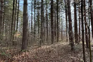 24115 Sanes Creek, Laurel, IN 47024 - Photo 36