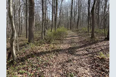 24115 Sanes Crk., Laurel, IN 47024 - Photo 18