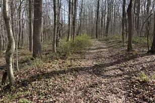 24115 Sanes Creek, Laurel, IN 47024 - Photo 18