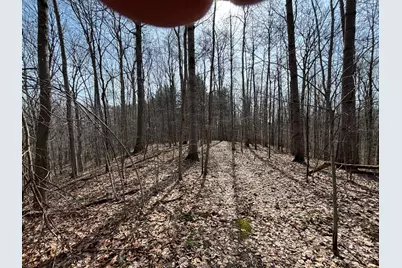 24115 Sanes Crk., Laurel, IN 47024 - Photo 26