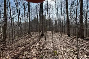 24115 Sanes Creek, Laurel, IN 47024 - Photo 26