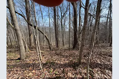 24115 Sanes Crk., Laurel, IN 47024 - Photo 24